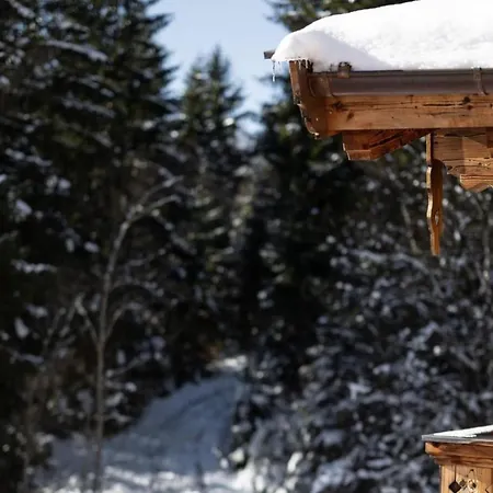 Tatil Evi Nationalpark Blindis Neukirchen am Großvenediger